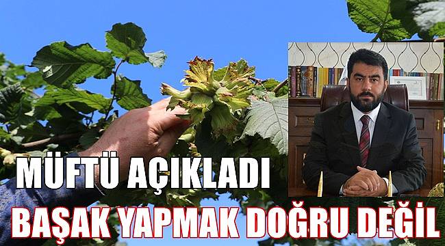 Ordu Müftülüğünden flaş açıklama: Fındıkta başak doğru değil!