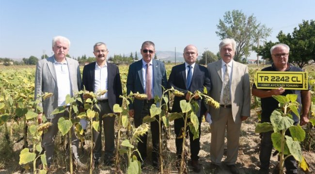 Pamukkale Üniversitesi eğitirken üretip, para kazanıyor