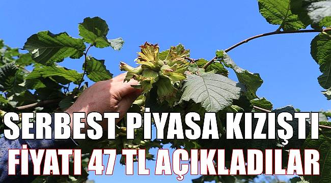 Şahinler fındık fiyatı 47 TL olarak açıkladı