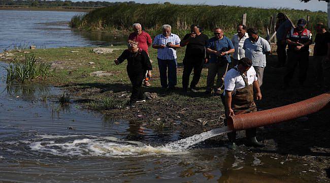 Samsun'da göllere 2 milyon 524 bin sazan balığı yavrusu bırakıldı