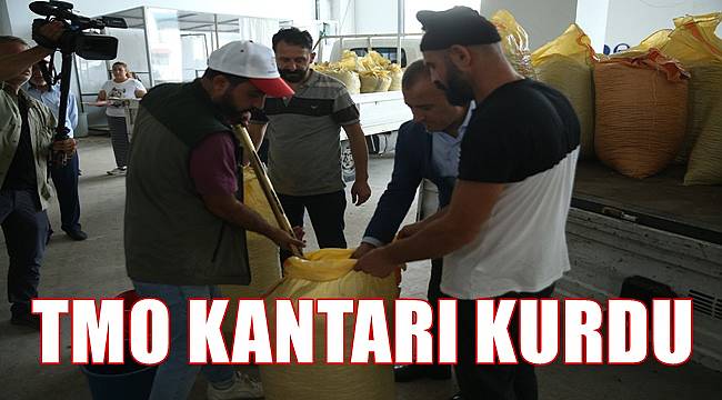 TMO Ordu&#039;da fındığı 55 TL&#039;den aldı