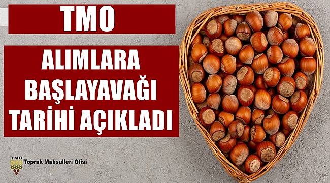 TMO fındık alımına başlayacağı tarihi açıkladı