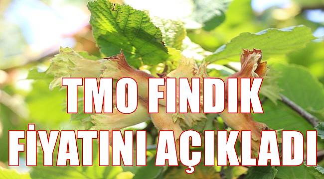 TMO fındık fiyatını açıkladı