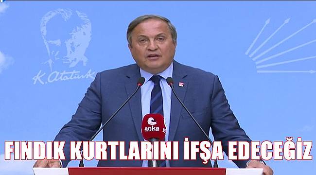 Torun: Fındık fiyatı hayal kırıklığı, aldatmaca