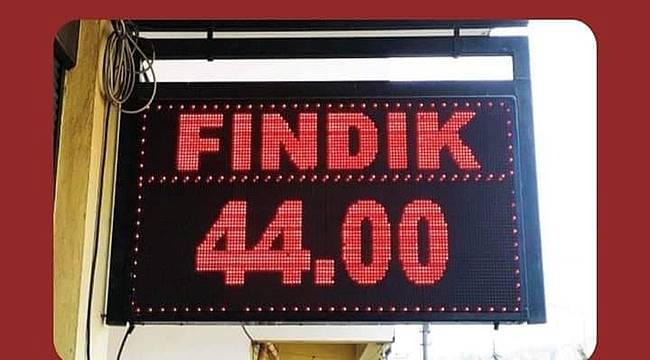 Tüccarda fındık 44 TL oldu
