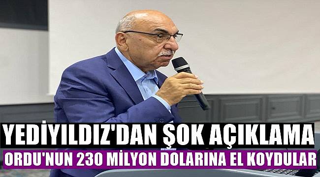 Yediyıldız: Ordu'nun 230 milyon dolarına el koydular