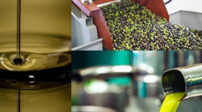 Zeytin karasuyu tarımda kullanılacak