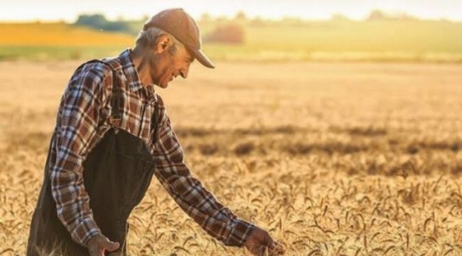 709 milyon TL&#039;lik tarımsal destek hesaplarda