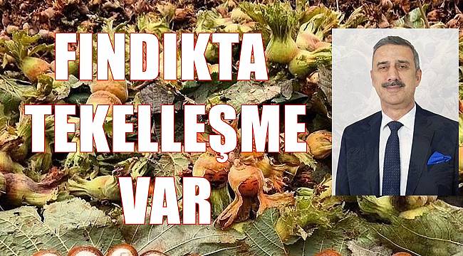 Bayraktar: Fındıkta tekelleşme var