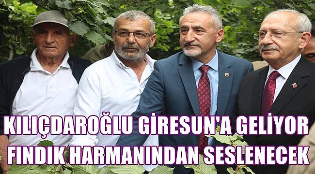 CHP lideri Kılıçdaroğlu fındık harmanında basın açıklaması yapacak