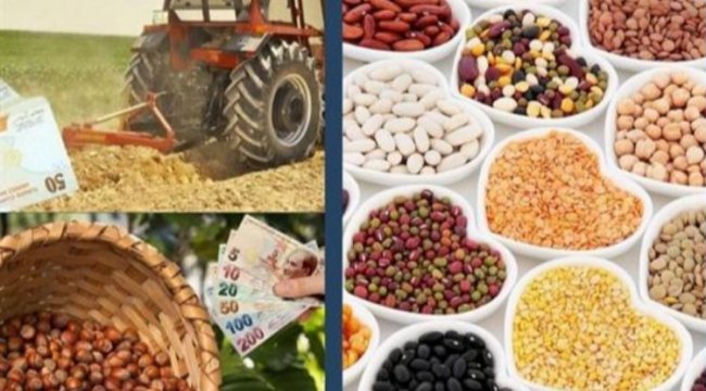 Çiftçilere nefes aldıran ödeme