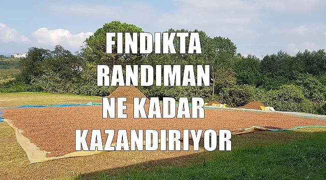 Fındık fiyatı 10.09.2022 Cumartesi