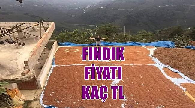 Fındık fiyatı 3.09.2022 Cumartesi