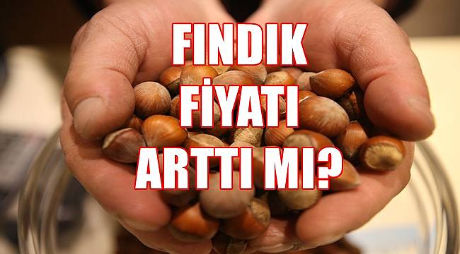 Fındık fiyatı 6.09.2022 Salı