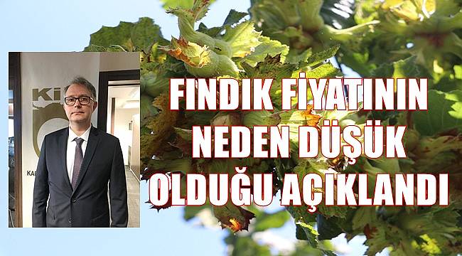 Fındık fiyatı neden düşük?