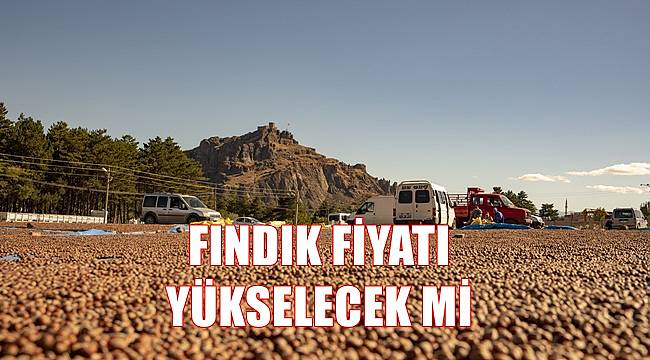 Fındık fiyatı yükselecek mi?