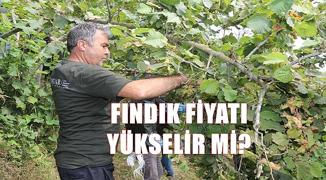 Fındık fiyatları 26.09.2022 Pazartesi