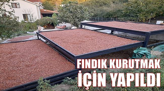 Fındık kurutmak için raylı sistem yaptı