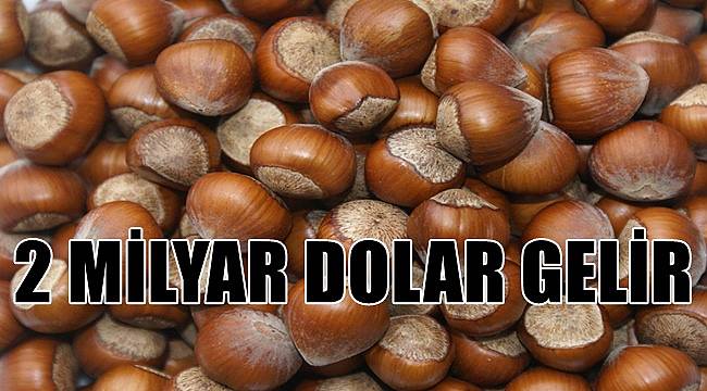 Fındık 2 milyar dolar döviz kazandırdı