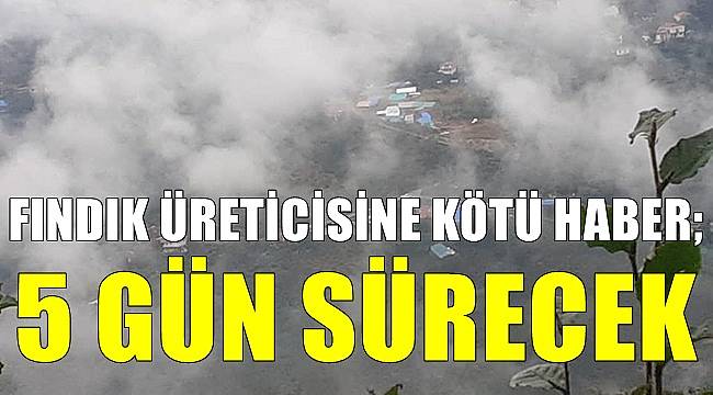 Fındık üreticisine kötü haber!