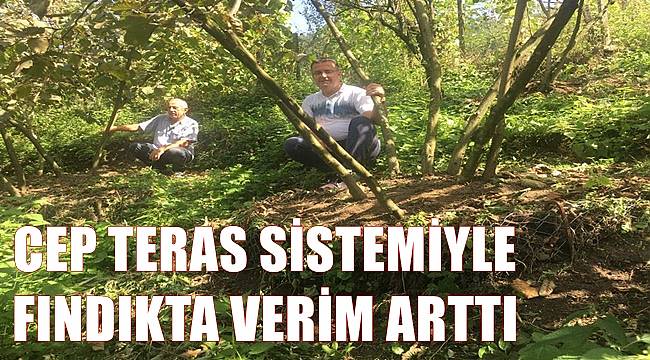 Fındıkta cep teras projesiyle verim arttı