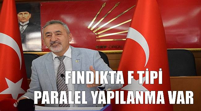 Fındıkta f  tipi paralel yapılanma var