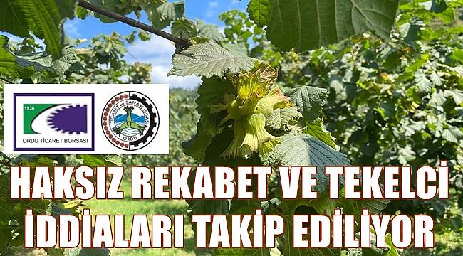 Fındıkta Ferrero için haksız rekabet ve tekelci iddiaları takip ediliyor