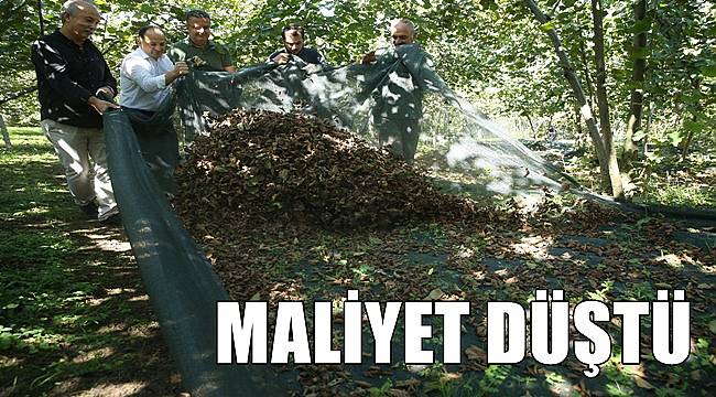 Fındıkta file örtüyle yapılan hasat maliyeti düşürdü
