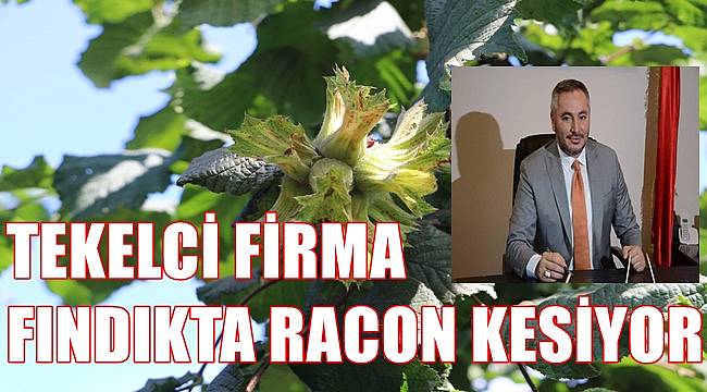 Fındıkta tekelci firma  racon kesiyor