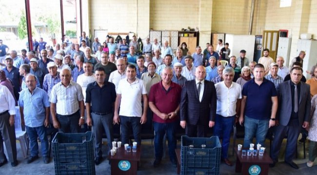Manisa Kula&#039;da 210 üreticiye daha zeytin kasası desteği
