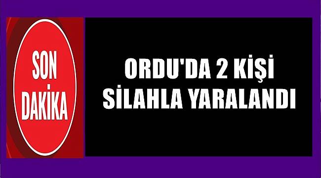 Ordu&#039;da işyeri sahipleri ağır yaralandı