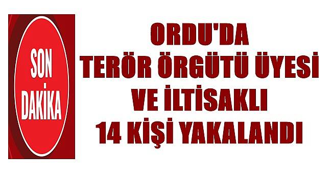 Ordu'da jandarmanın yaptığı operasyonda 14 kişi yakalandı