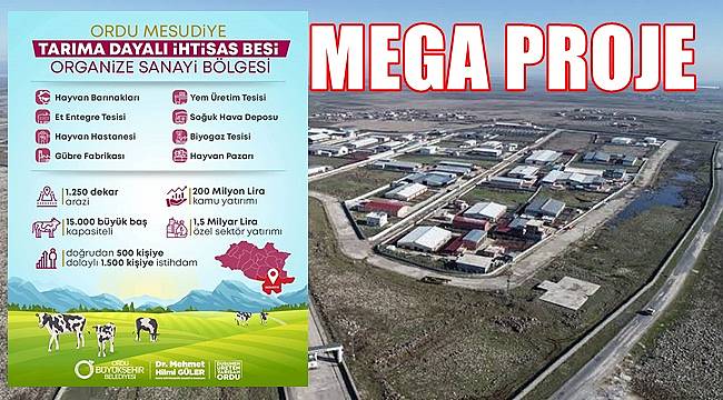Ordu&#039;da Mega Projenin detayları açıklandı