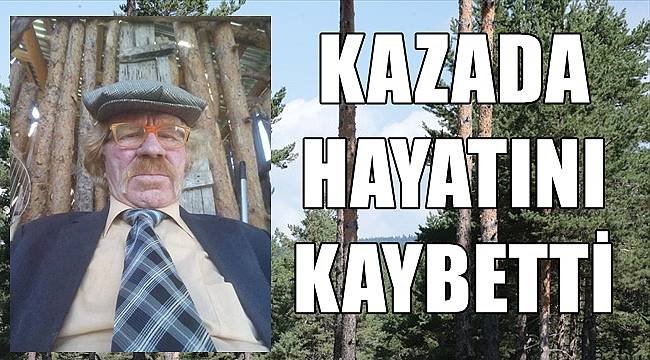 Ordu&#039;da ormanda meydana gelen kazada bir kişi yaşamını kaybetti