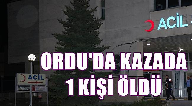 Ordu&#039;da trafik kazasında 1 kişi öldü 3 kişi yaralandı