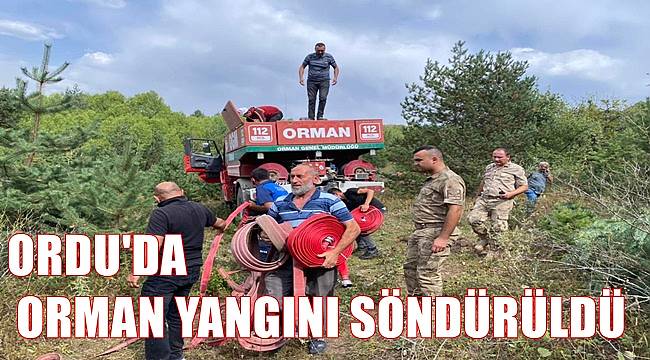 Ordu Mesudiye'de çıkan orman yangını söndürüldü