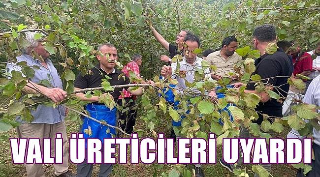 Ordu Valisi fındık üreticisini uyardı