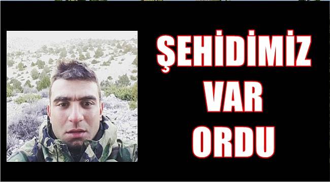 Ordulu asker şehit oldu