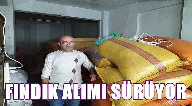 Özler Fındık , fındık alımını sürdürüyor