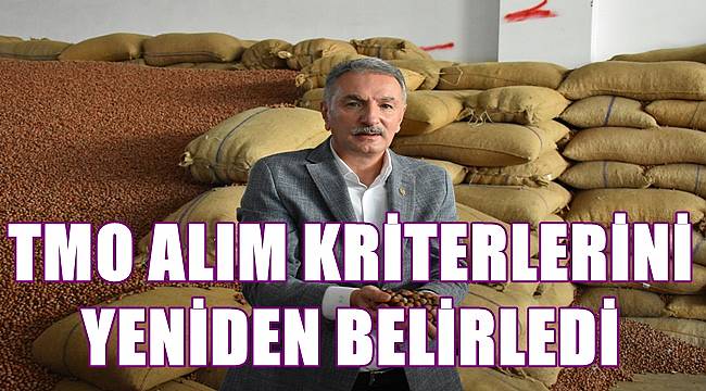 TMO fındık alım kriterlerini yeniden belirledi
