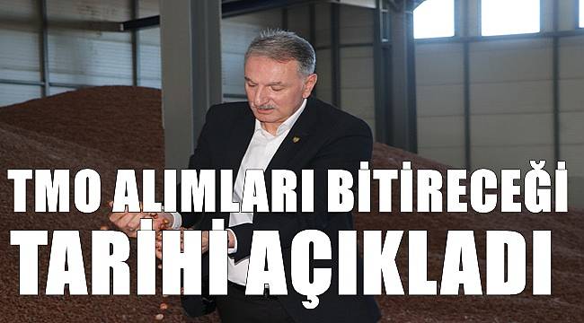 TMO fındık alımını durduracağı tarihi açıkladı
