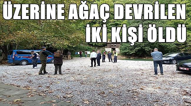 Üzerine ağaç devrilen iki kişi hayatını kaybetti