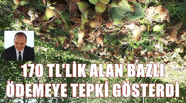 CHP'li Vekil fındıkta 170 TL'lik alan bazlı desteğe tepki gösterdi