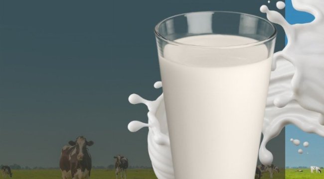 Çiğ süt zammına &#039;destek primi&#039; katkısı