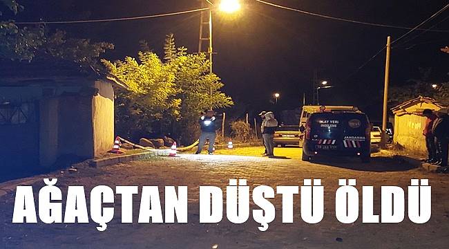 Elma ağacından düşen kişi yaşamını kaybetti