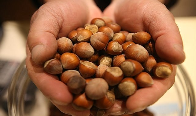 Fındık Çorbası tarifi