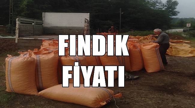 Fındık fiyatı 13.10.2022
