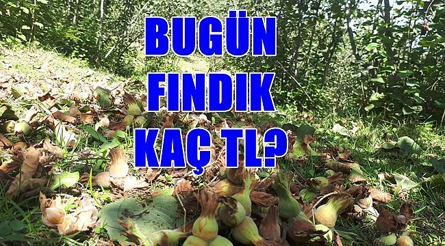 Fındık fiyatı 18.10.2022