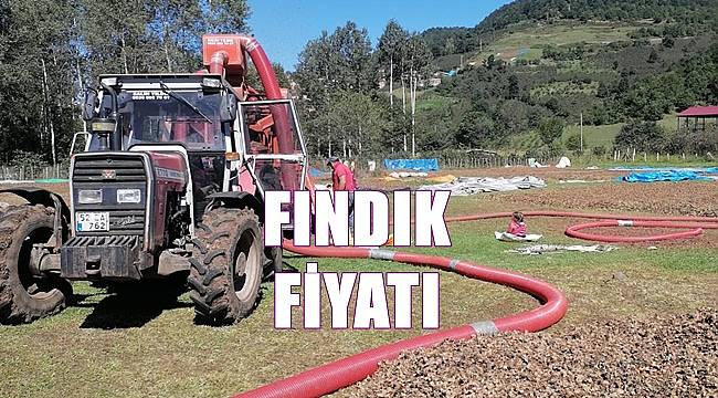 Fındık fiyatı 20.10.2022