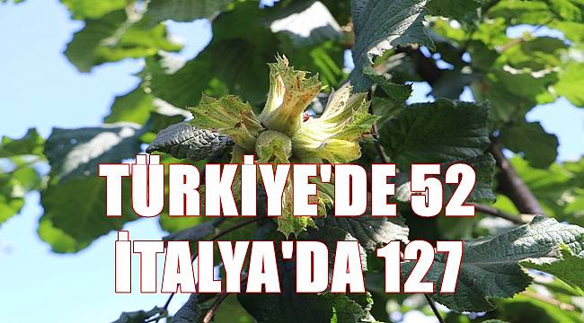 Fındık fiyatı 22.10.2022